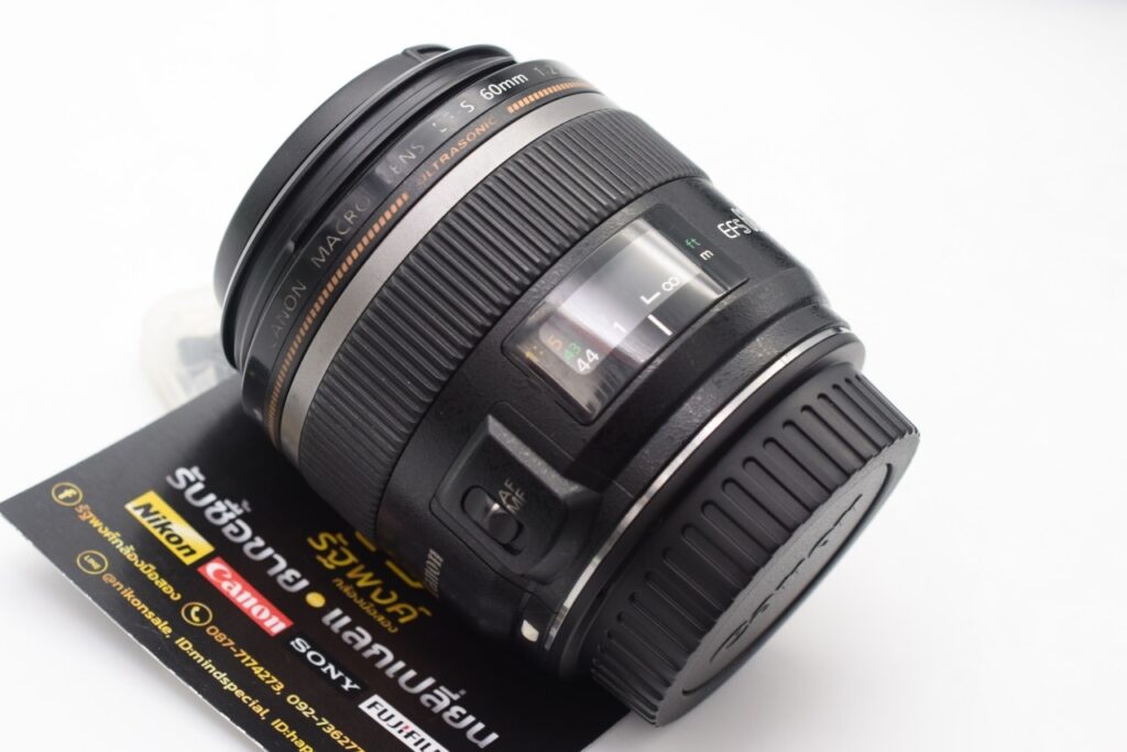 310789391 5876000475756947 492110090318012874 n