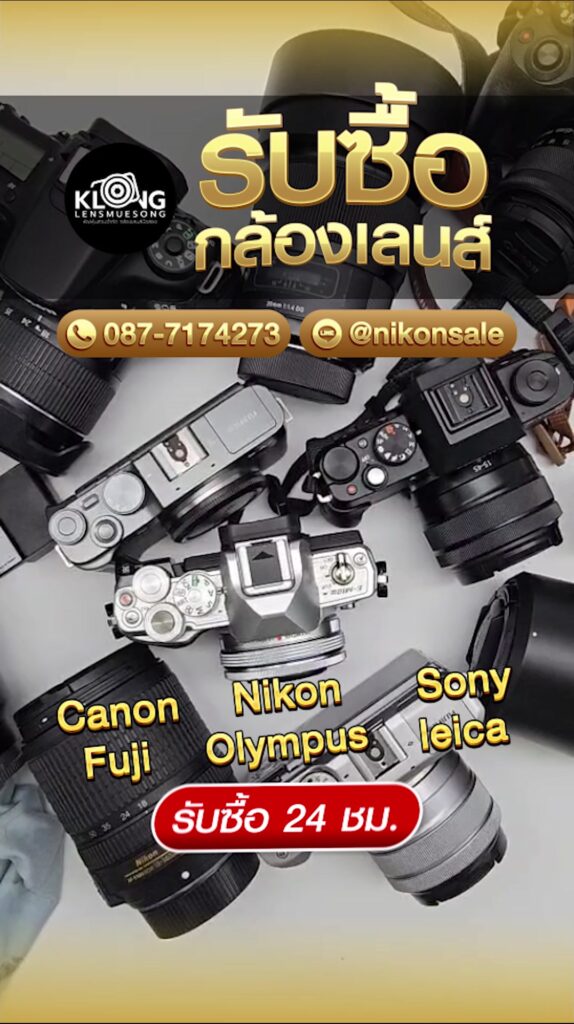 472443708 2452891805072515 2811045909257847046 n