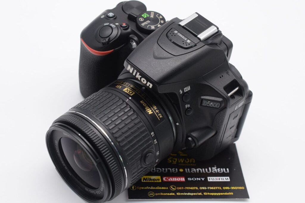 473997602 1038029921685860 1145622090186928355 n