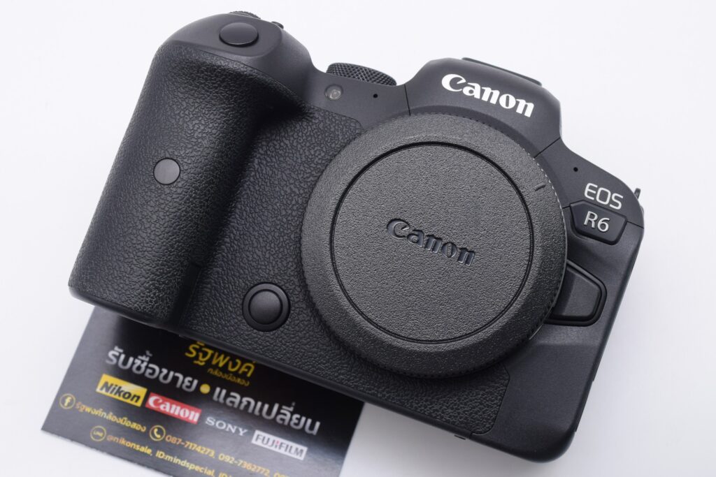 506700111 1155635853258599 6174893032456292808 n