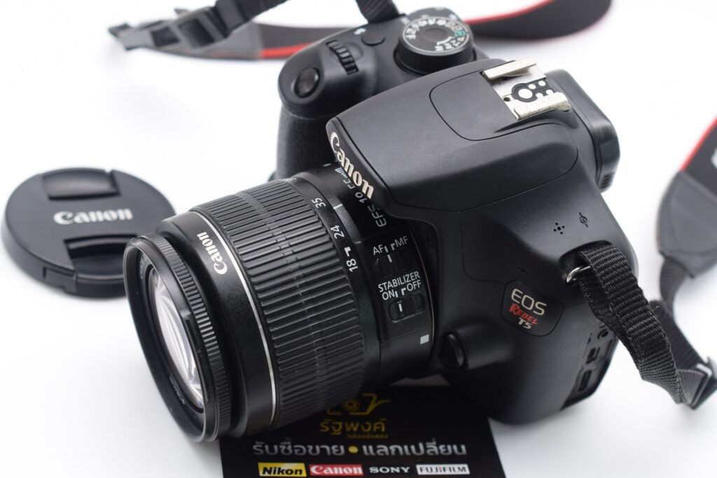 512571978 1165708325584685 5886080621782325958 n