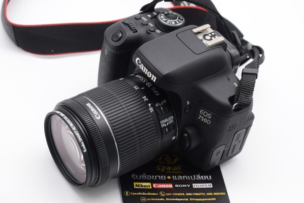 516571250 1175908821231302 4198116545532653366 n