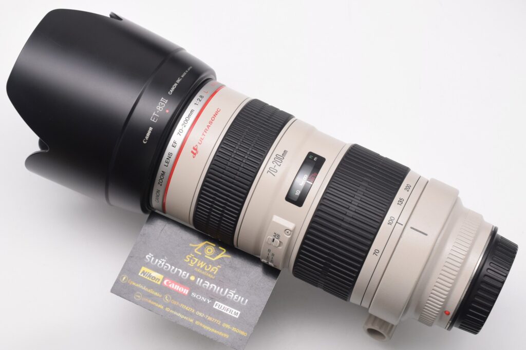 547213809 1233639795458204 8554851928916396920 n