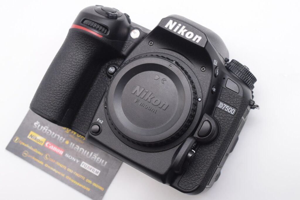 549992506 1237135065108677 3305956774850124067 n