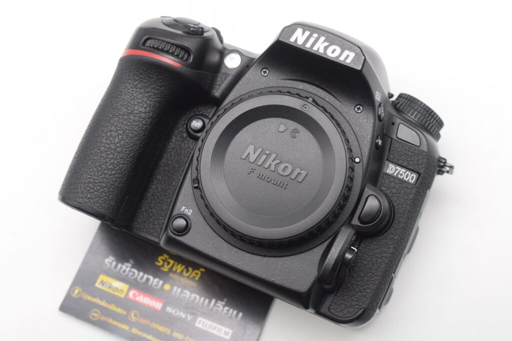 551191432 1243181394504044 4112612673948730324 n