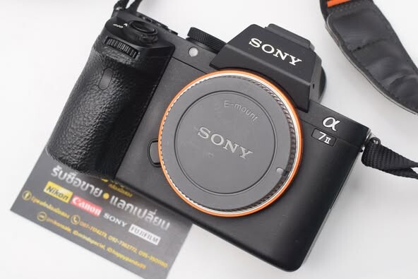 u4-557695617_1256206916534825_54764550126045520_n