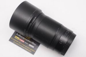 613117278 1339819048173611 1849076729533000688 n