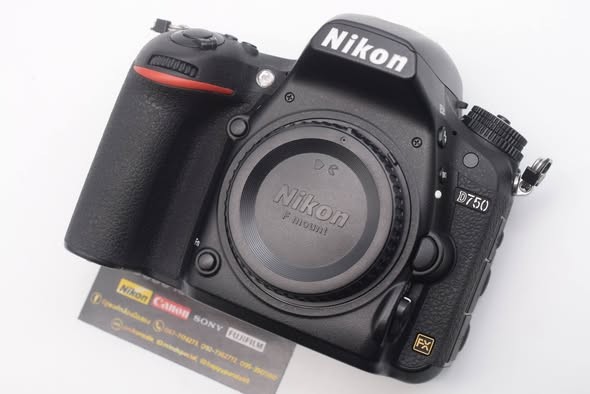 623266480 1356472243174958 2076169841532876005 n