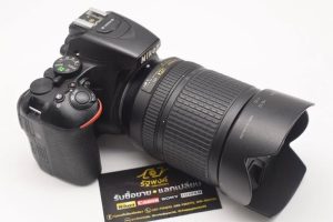 639840640 1377534877735361 2507186268916362123 n